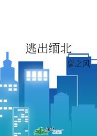 逃出缅北短剧合集免费观看